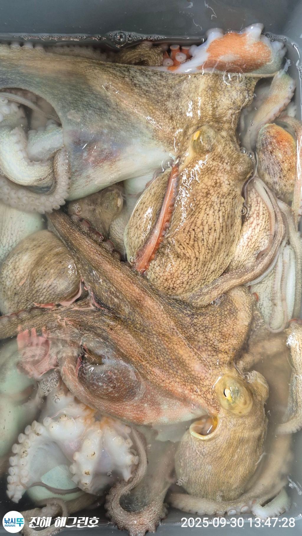 F2787965VK.jpg
