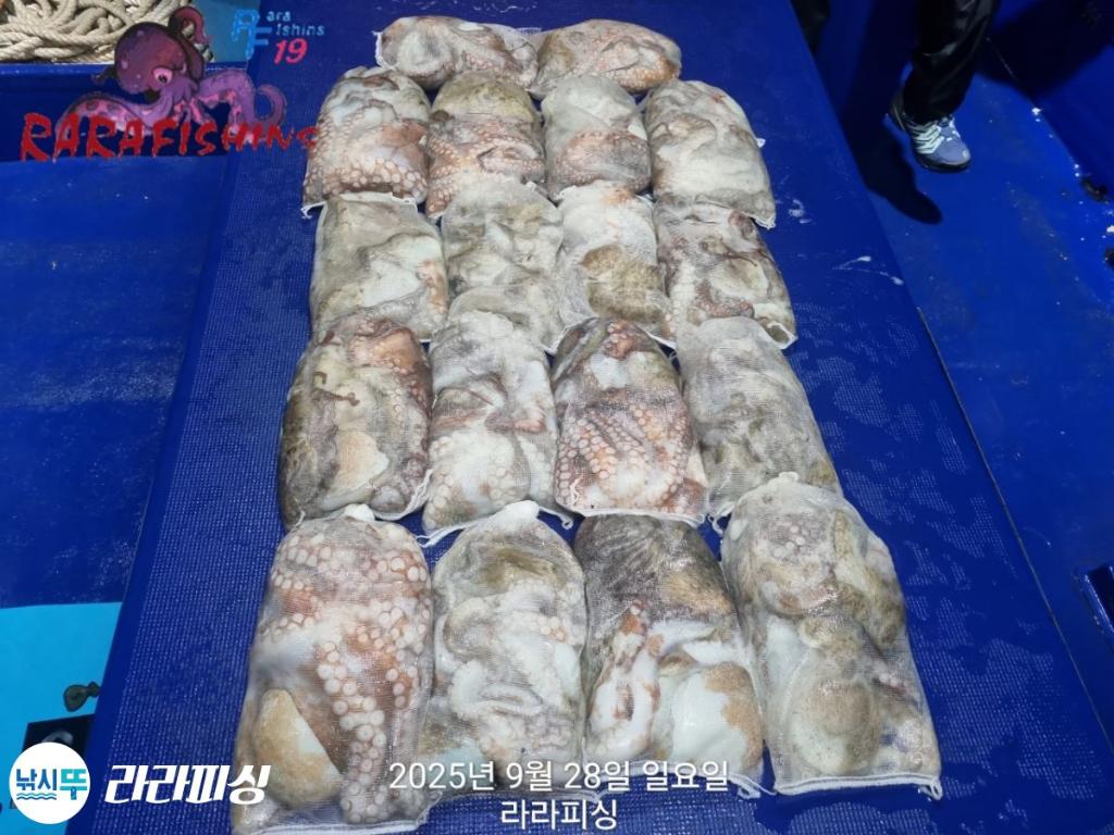 F2788012WW.jpg