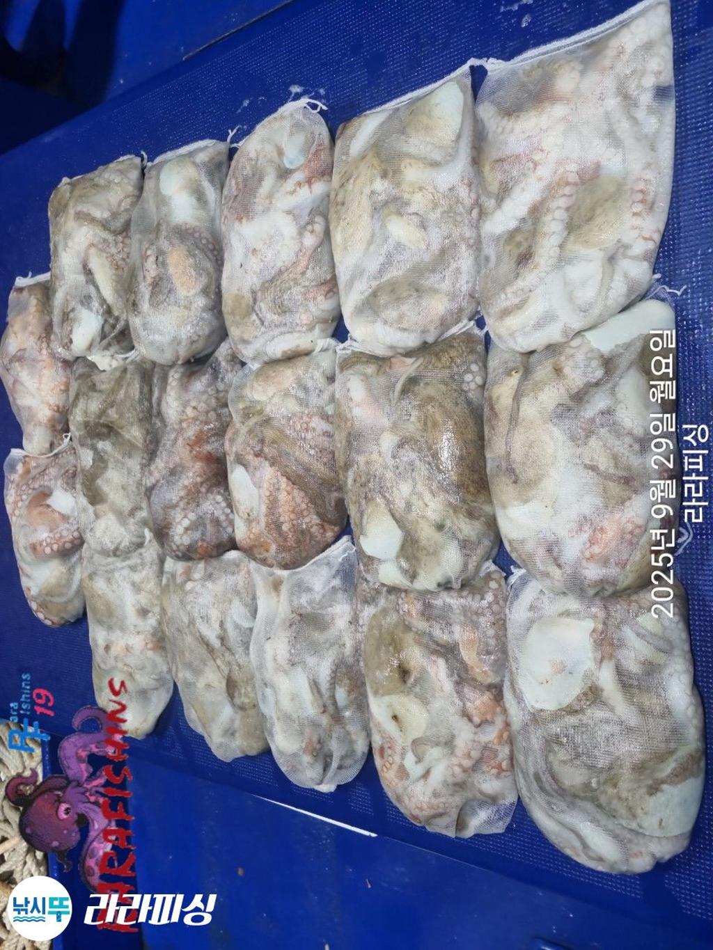 F2788021S0.jpg