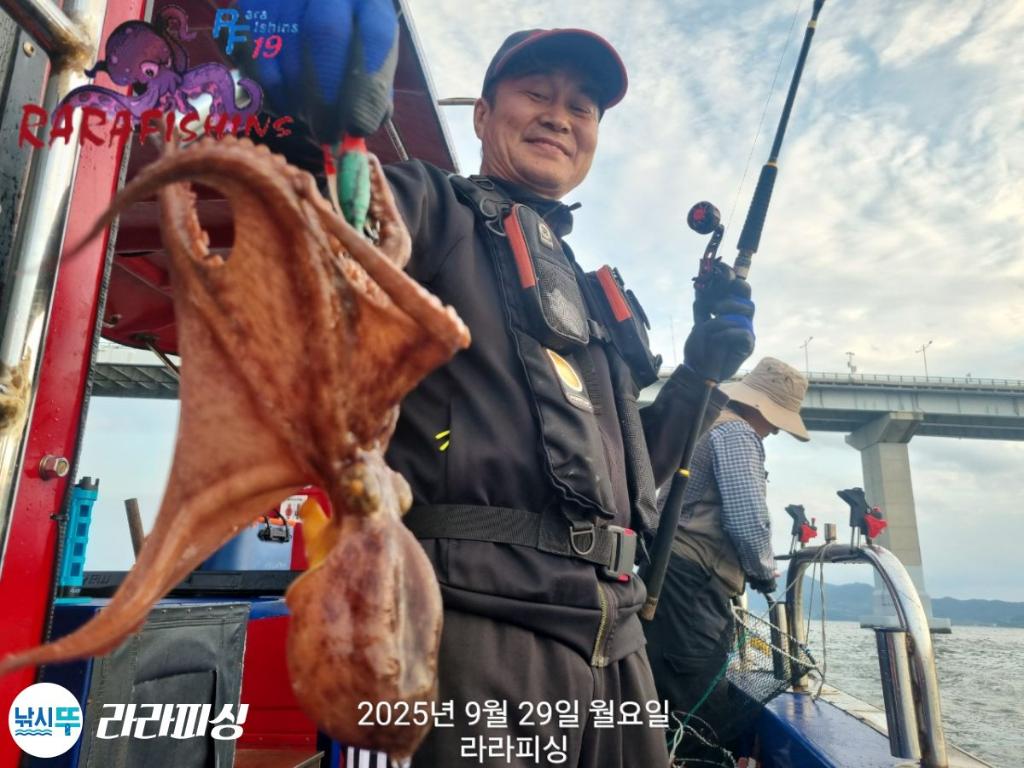 F2788037YB.jpg