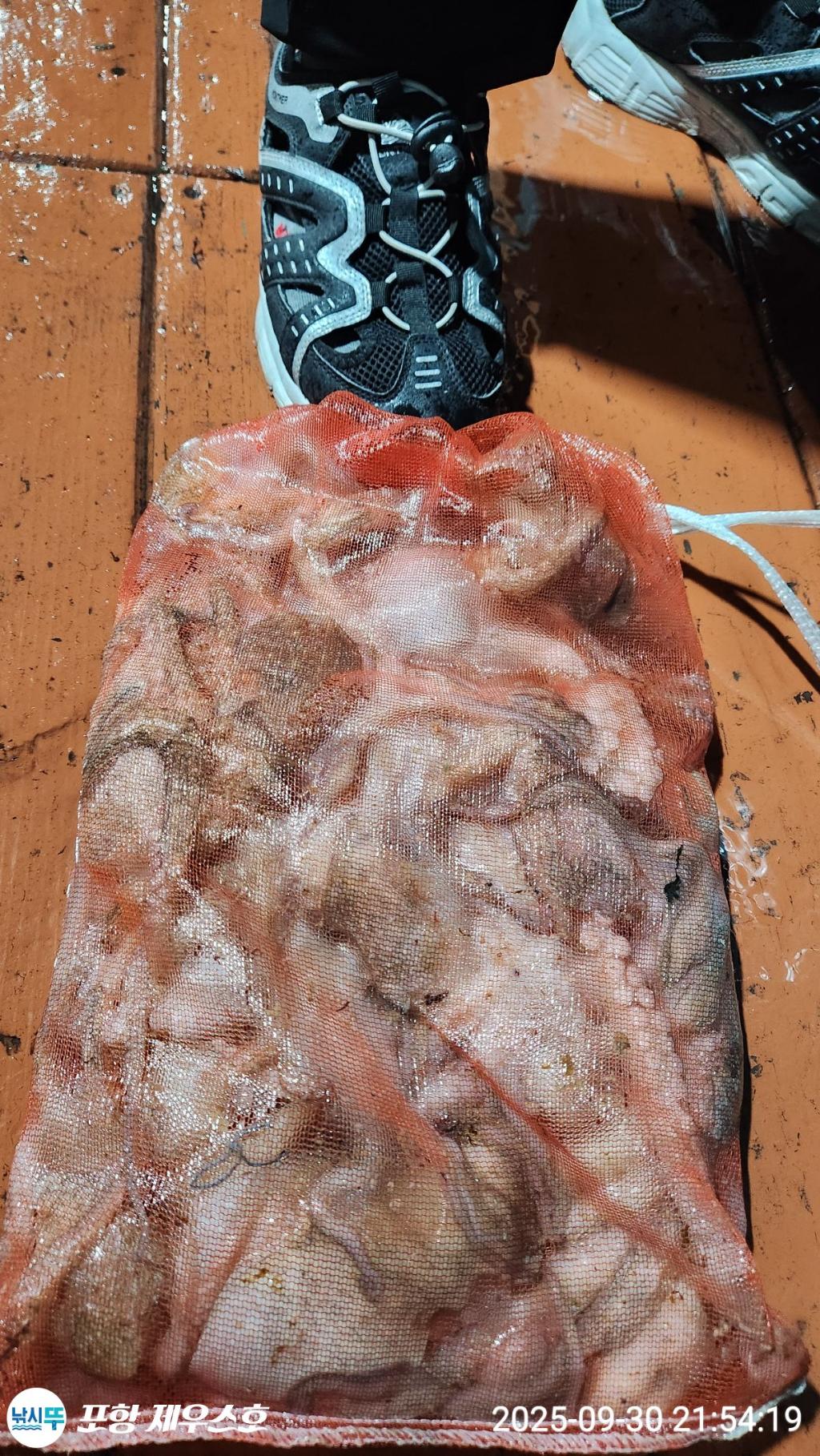 F2788131SV.jpg