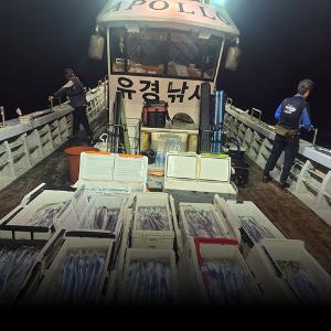 조황, 먼바다외줄낚시 4/5지퍽~퍽합니다전나빨리~빨리/오늘예약가능
