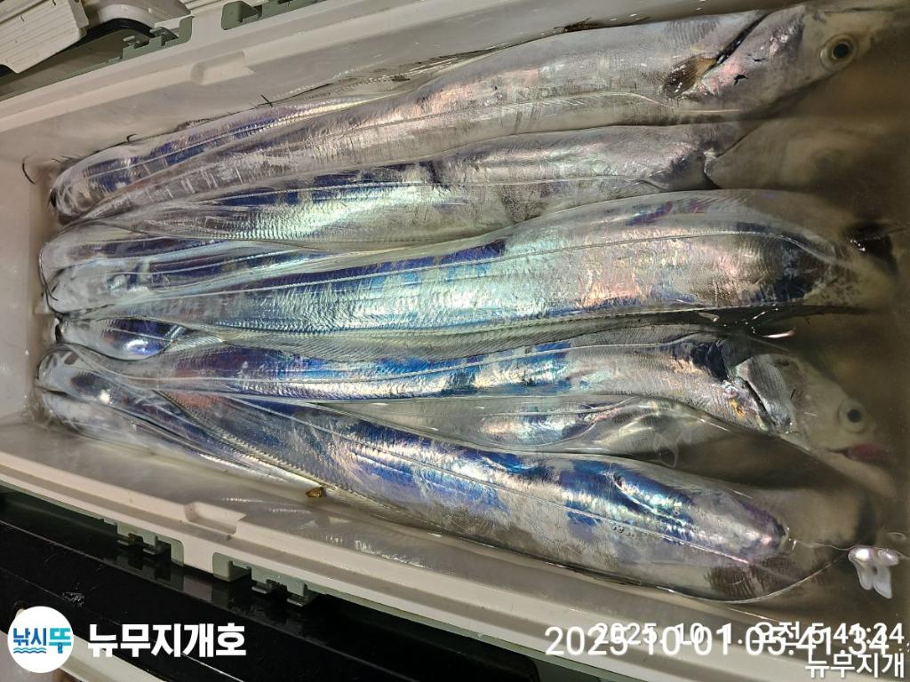 F2788294L1.jpg