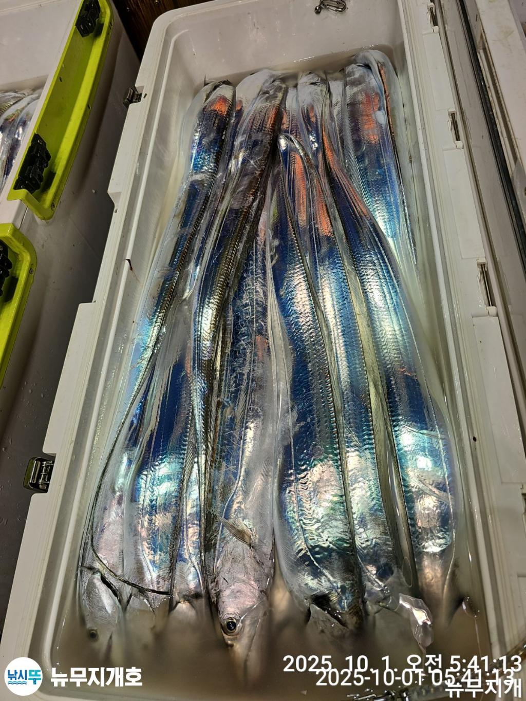 F2788298PX.jpg