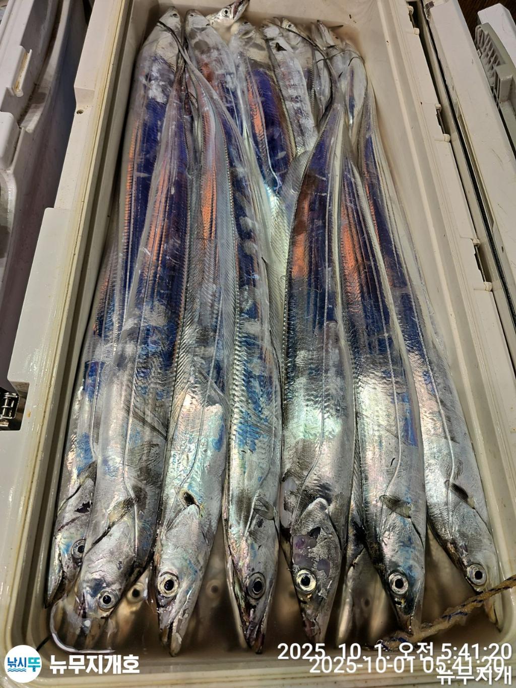 F27883009P.jpg
