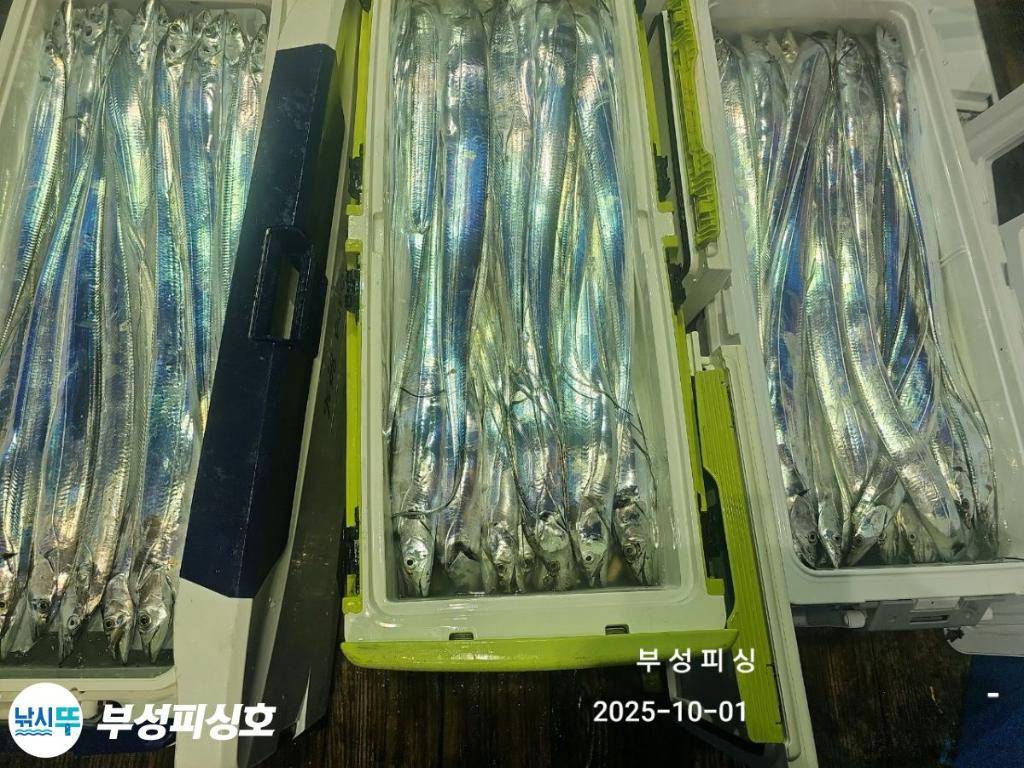 F2788314MW.jpg