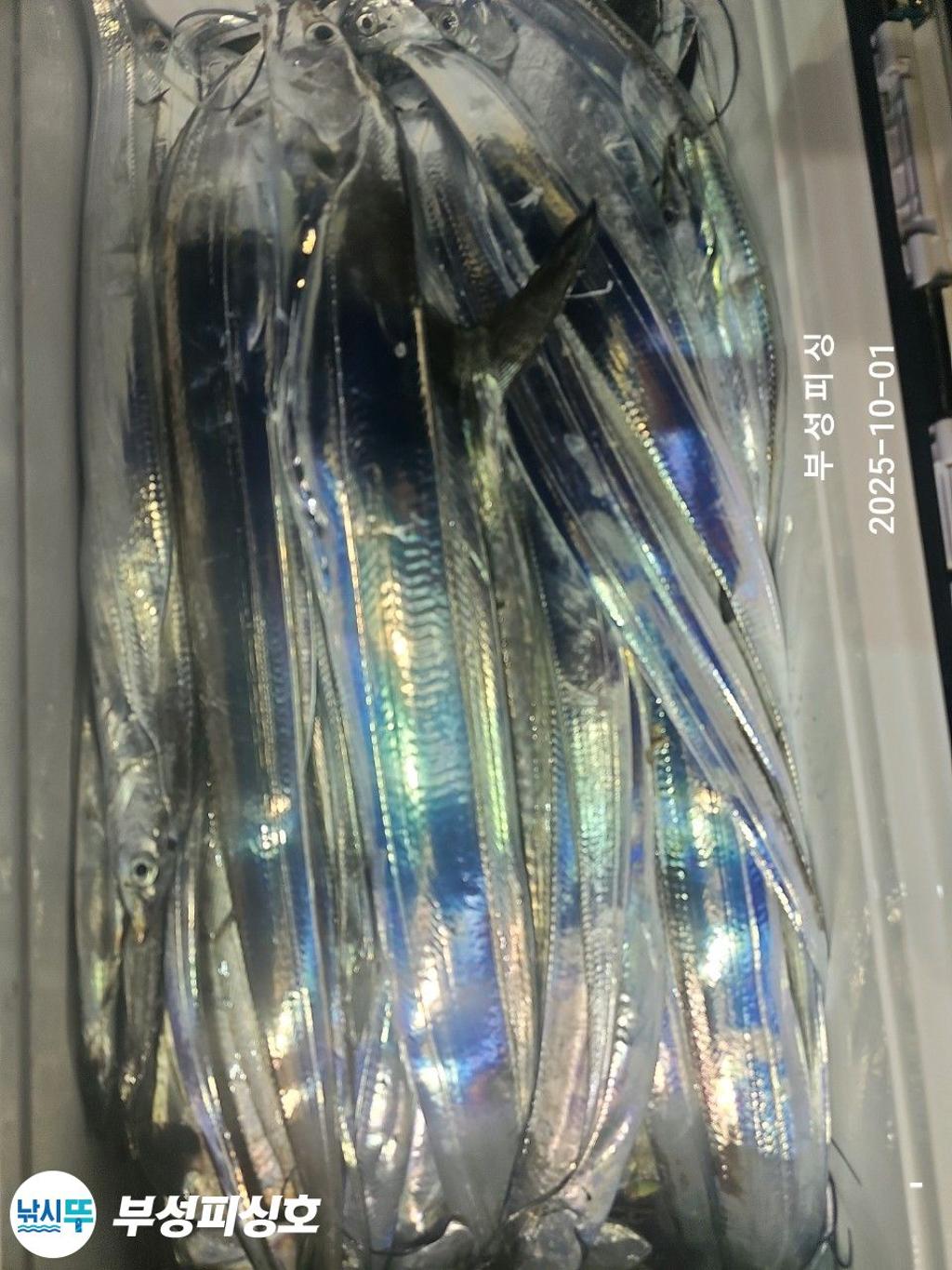 F2788315VY.jpg