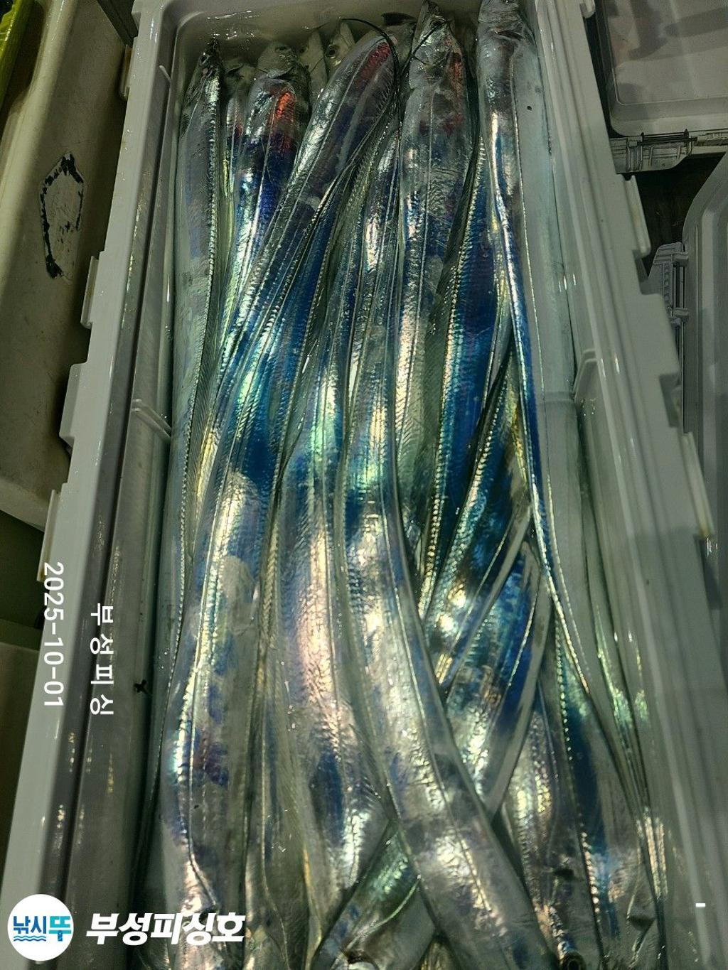 F27883170H.jpg