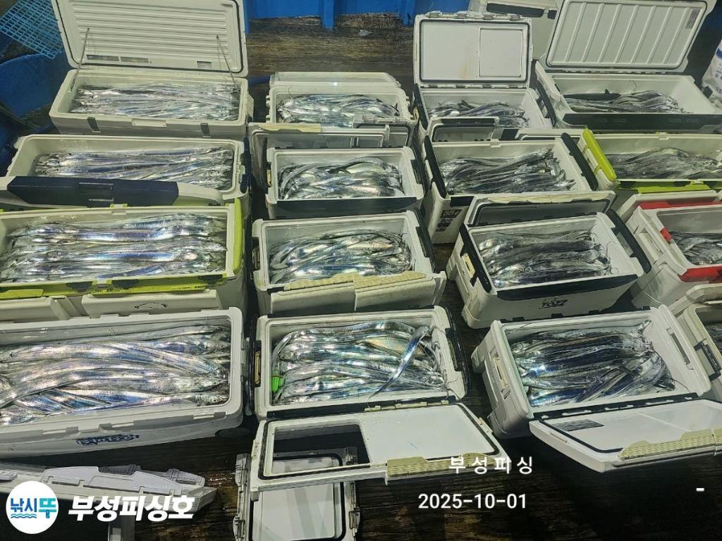 F278832064.jpg