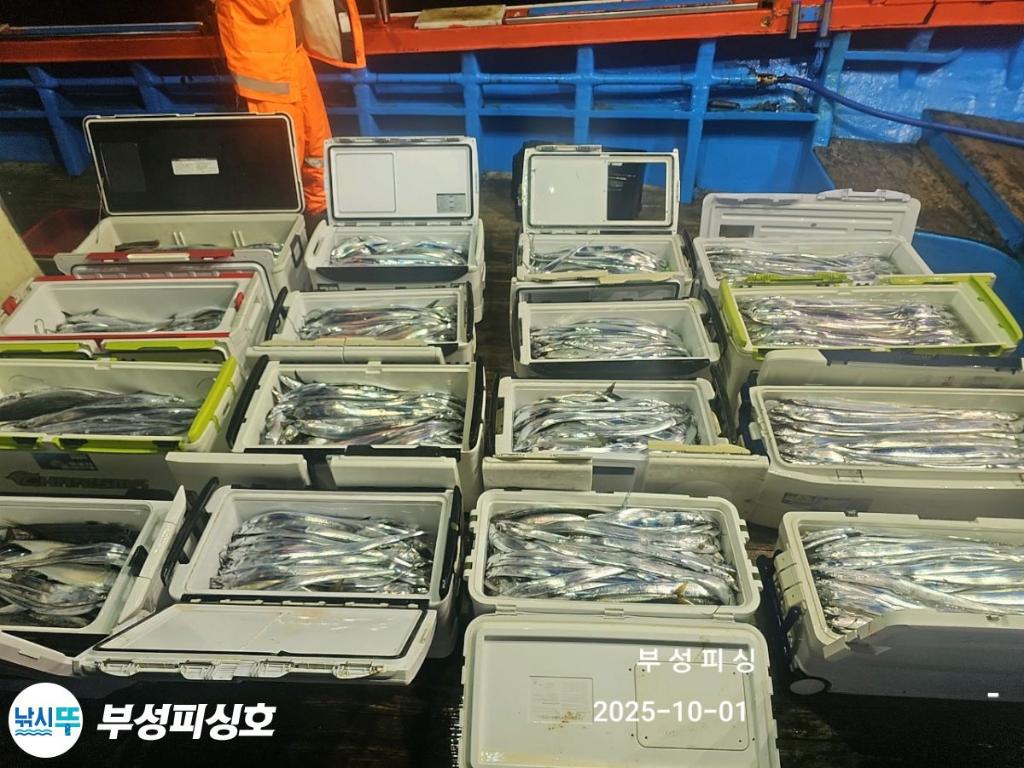 F27883225M.jpg
