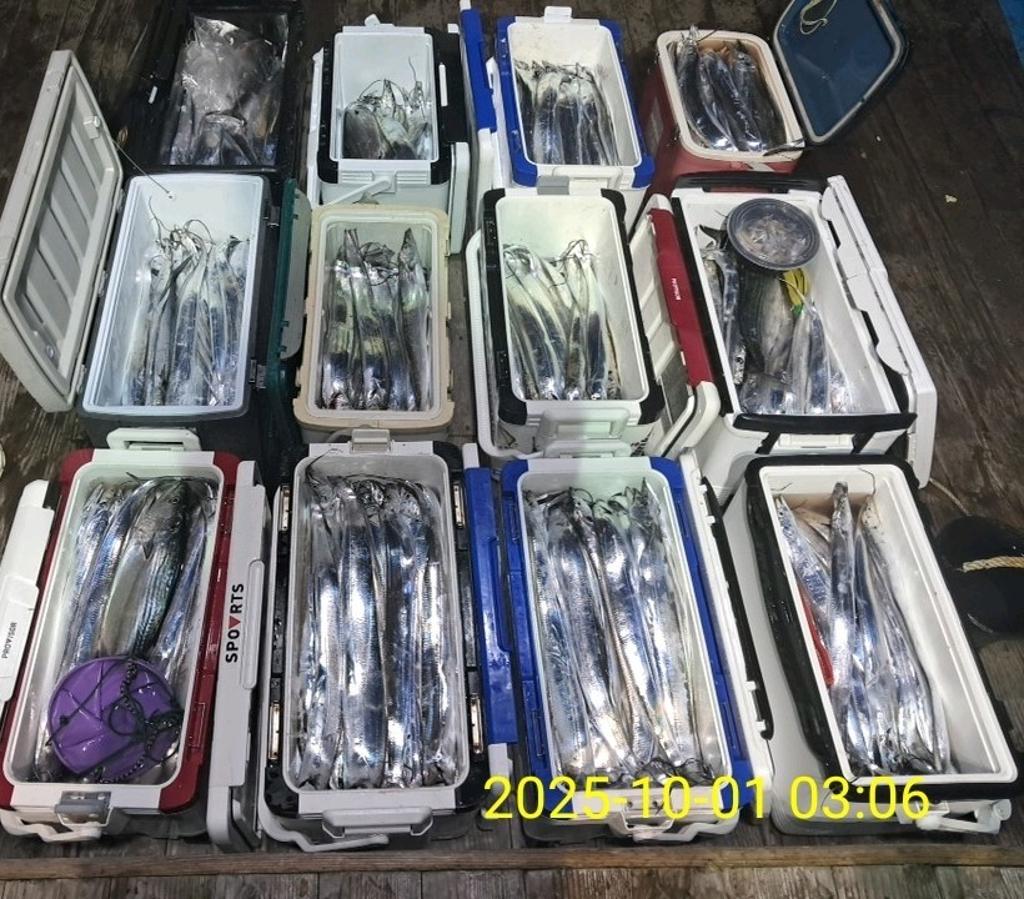 갈치, 삼포대교낚시, 낚시뚜