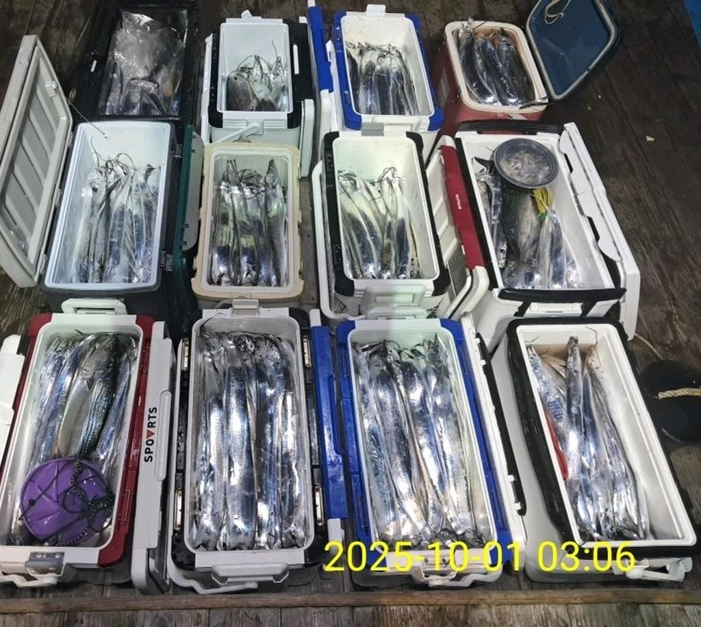 갈치, 삼포대교낚시, 낚시뚜