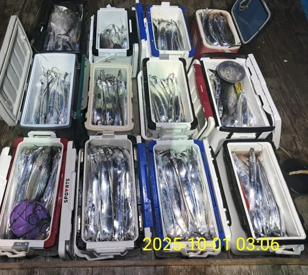 갈치, 삼포대교낚시, 낚시뚜
