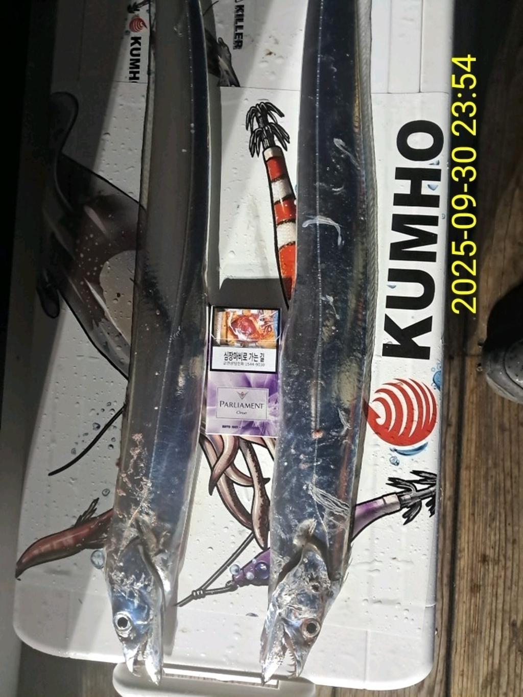 갈치, 삼포대교낚시, 낚시뚜