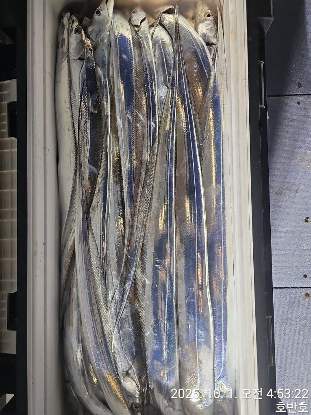 F2788544RL.jpg