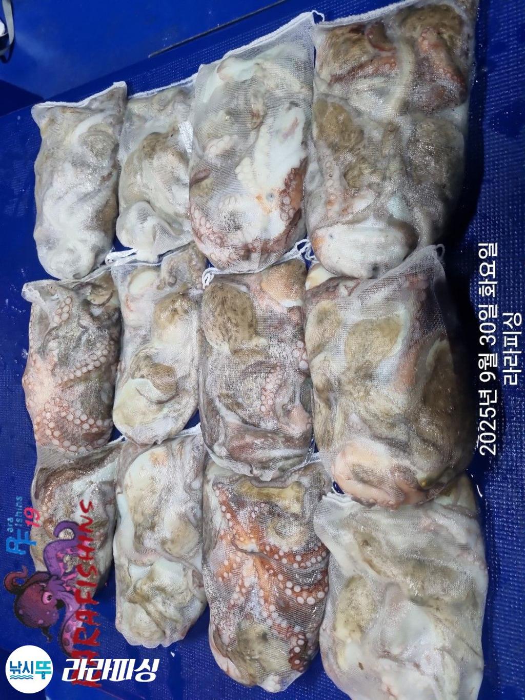 F278873317.jpg