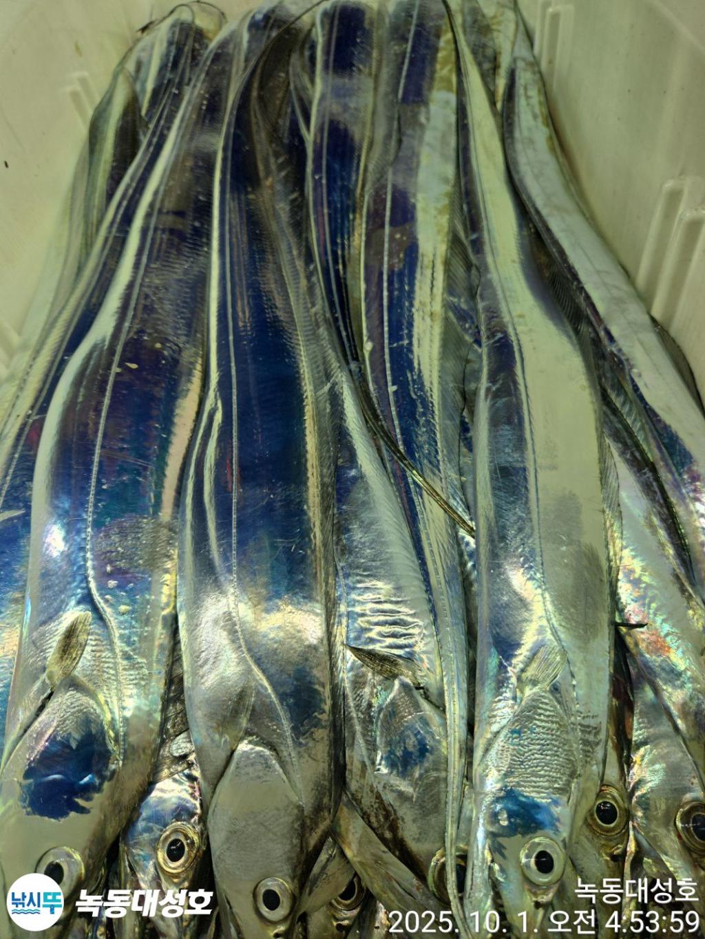 F27889966N.jpg