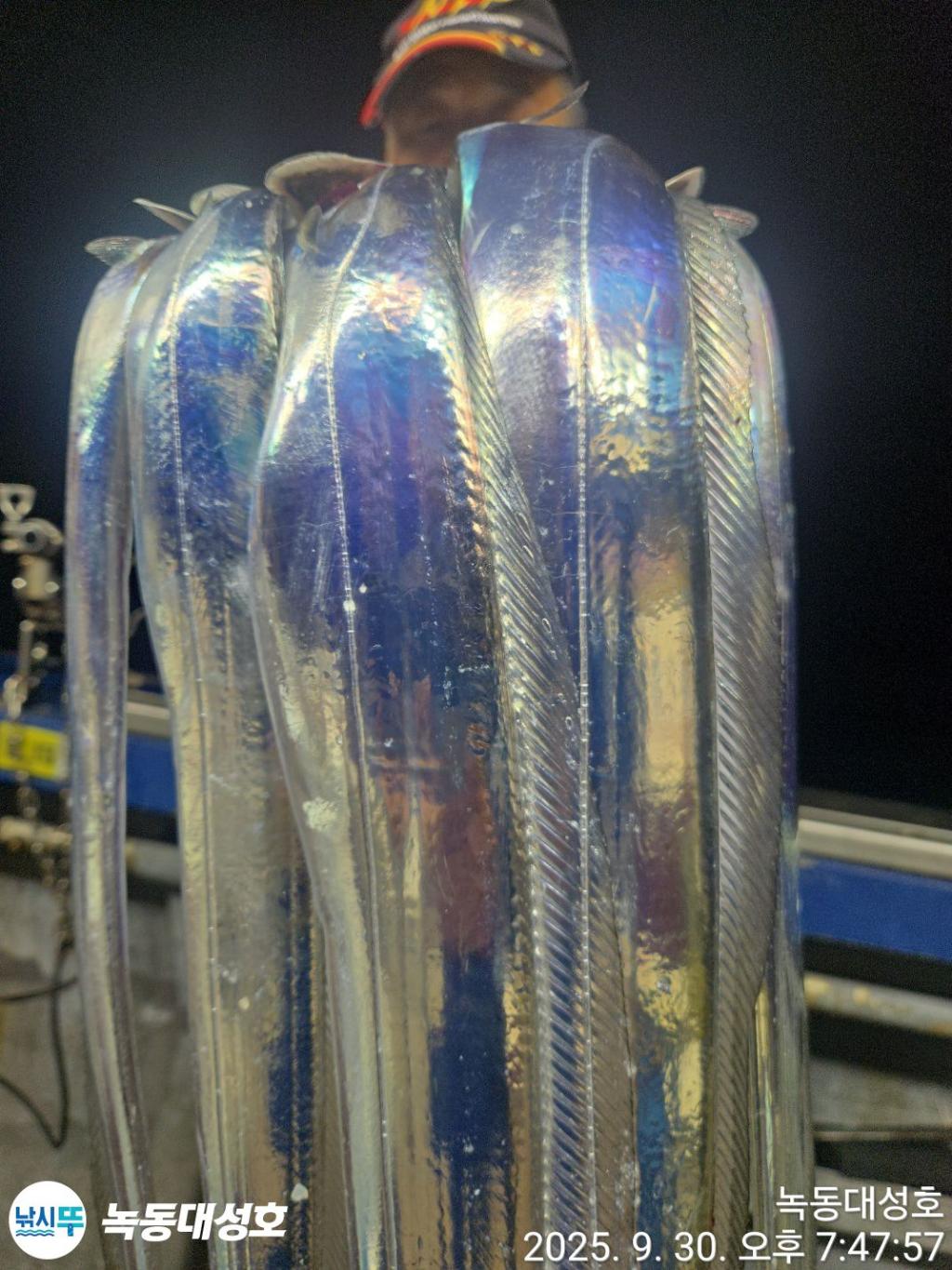 F2789035O7.jpg