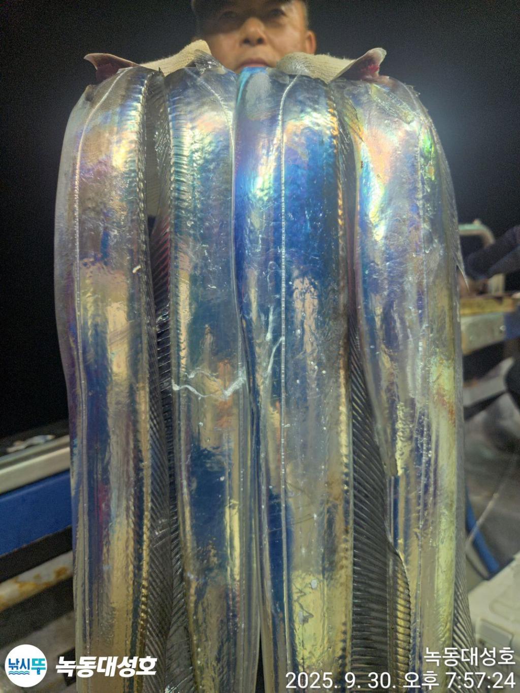 F27890411W.jpg