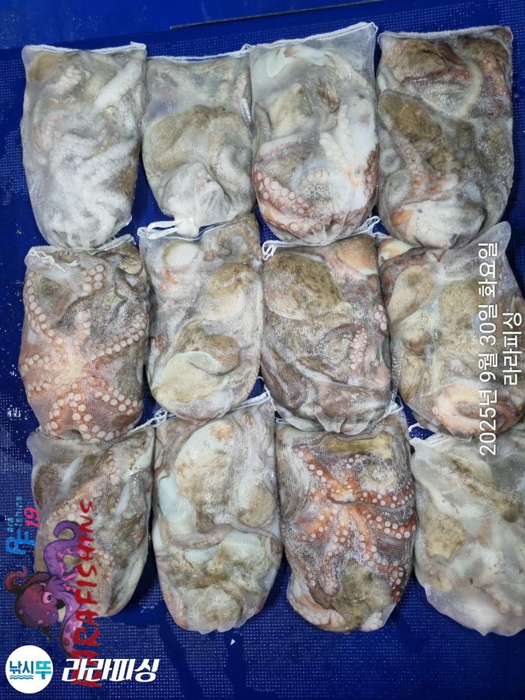 F2789130TJ.jpg