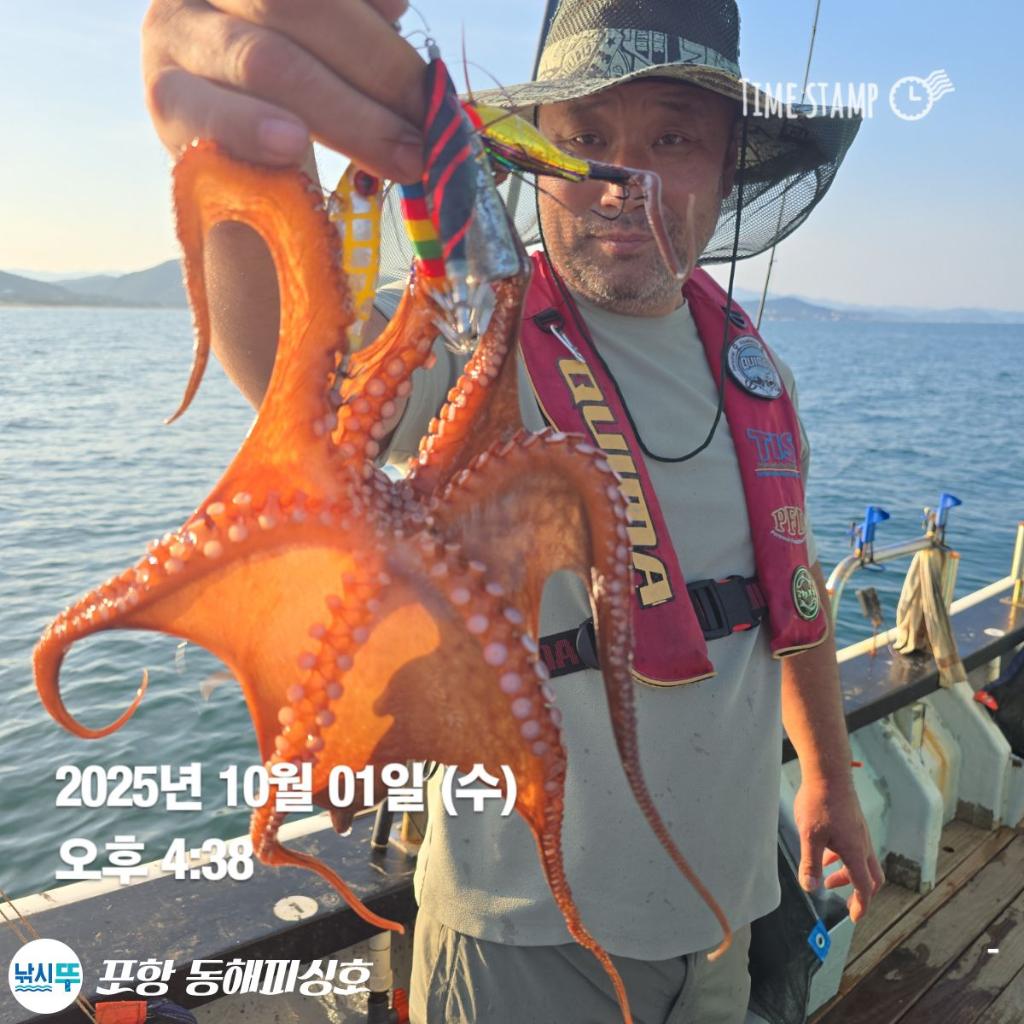 낚시뚜,돌문어,포항(운하관),포항 동해피싱호,낚시뚜10