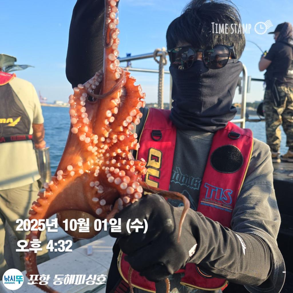 낚시뚜,돌문어,포항(운하관),포항 동해피싱호,낚시뚜9