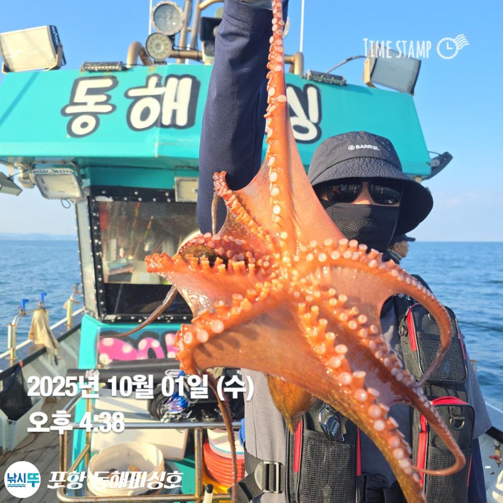 낚시뚜,돌문어,포항(운하관),포항 동해피싱호,낚시뚜6