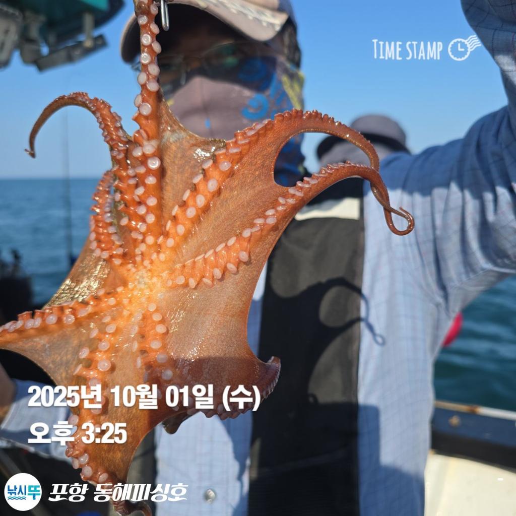 낚시뚜,돌문어,포항(운하관),포항 동해피싱호,낚시뚜4