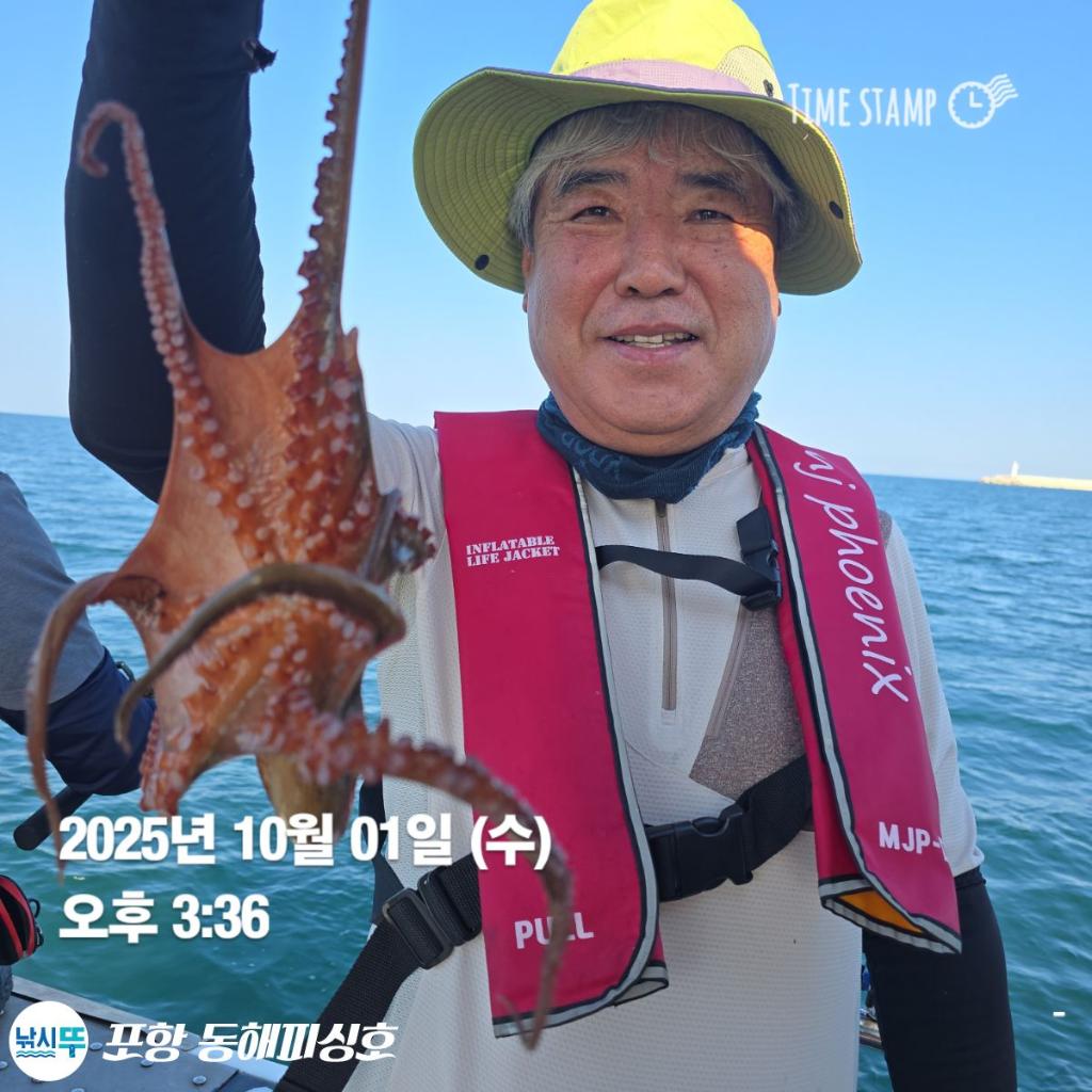 낚시뚜,돌문어,포항(운하관),포항 동해피싱호,낚시뚜3