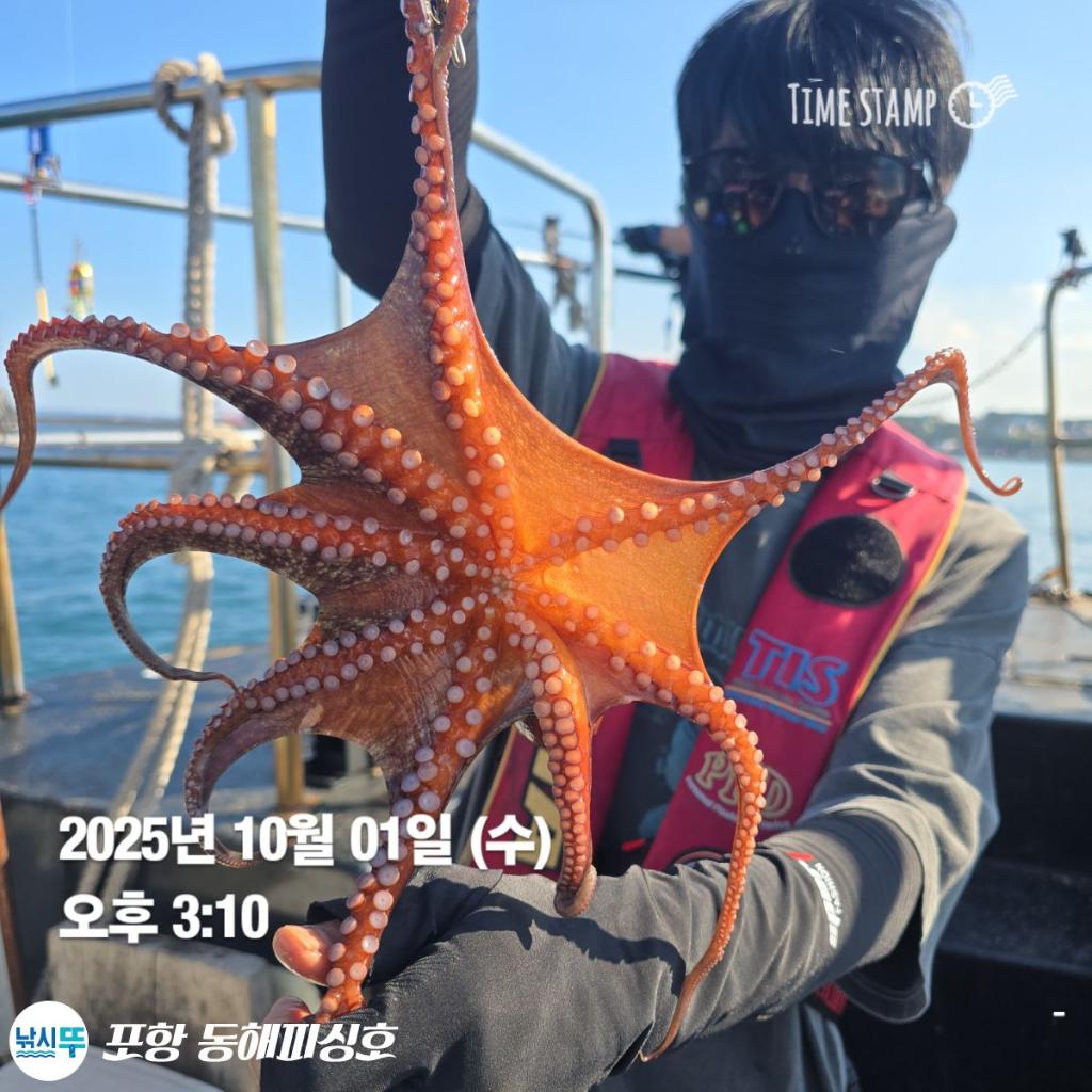 낚시뚜,돌문어,포항(운하관),포항 동해피싱호,낚시뚜2