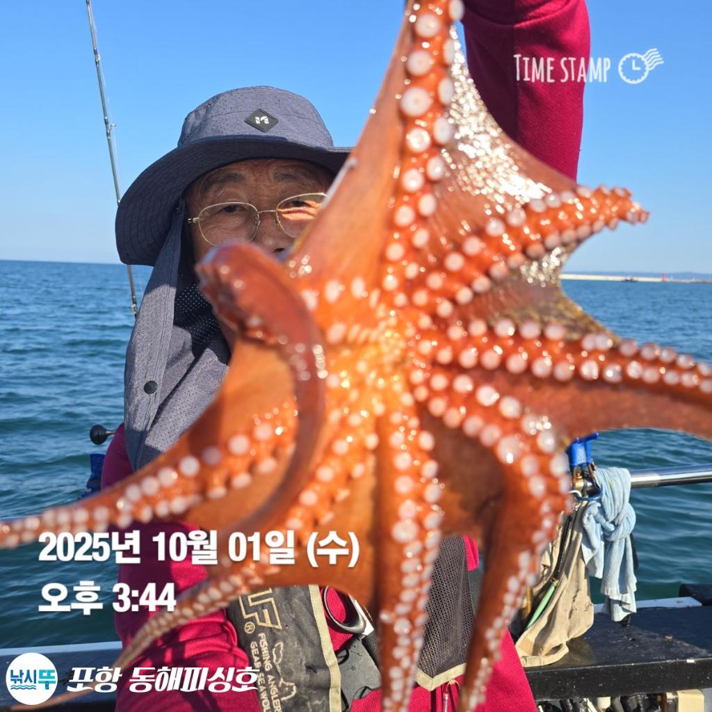 낚시뚜,돌문어,포항(운하관),포항 동해피싱호,낚시뚜0