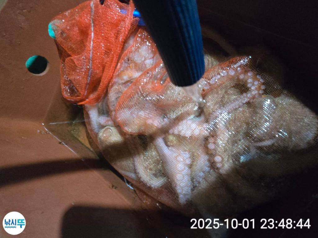 F2789192P6.jpg