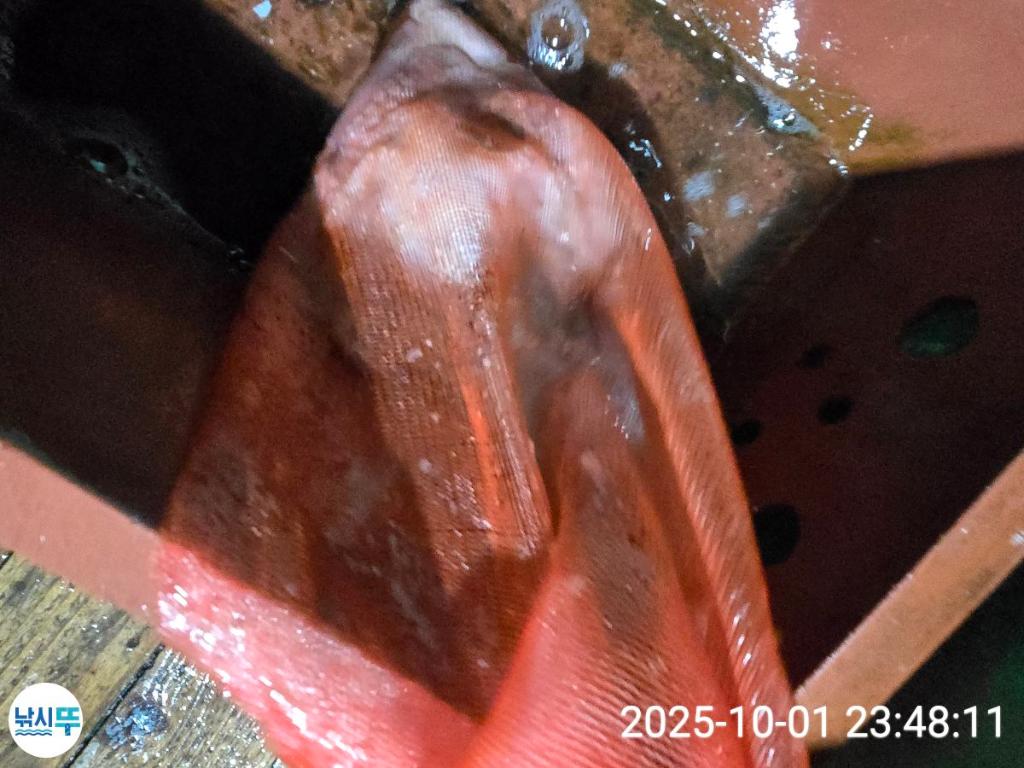 F2789194DF.jpg