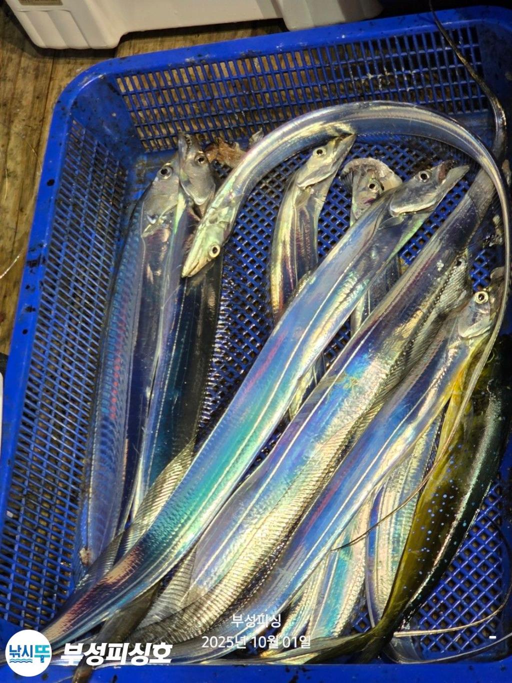 F2789445V6.jpg