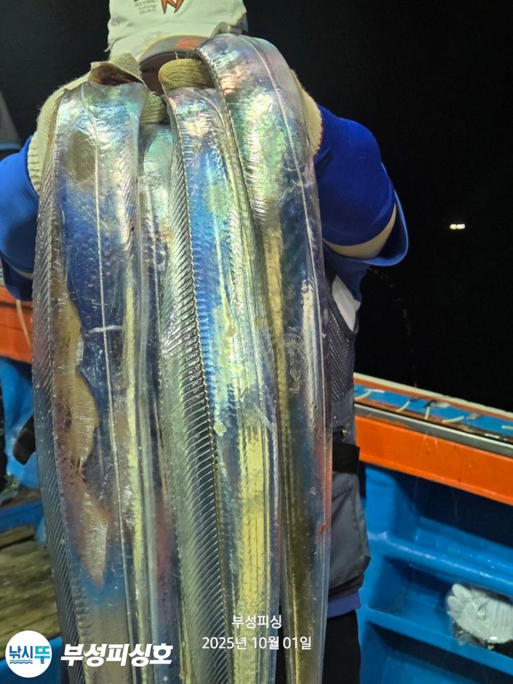F2789449JB.jpg