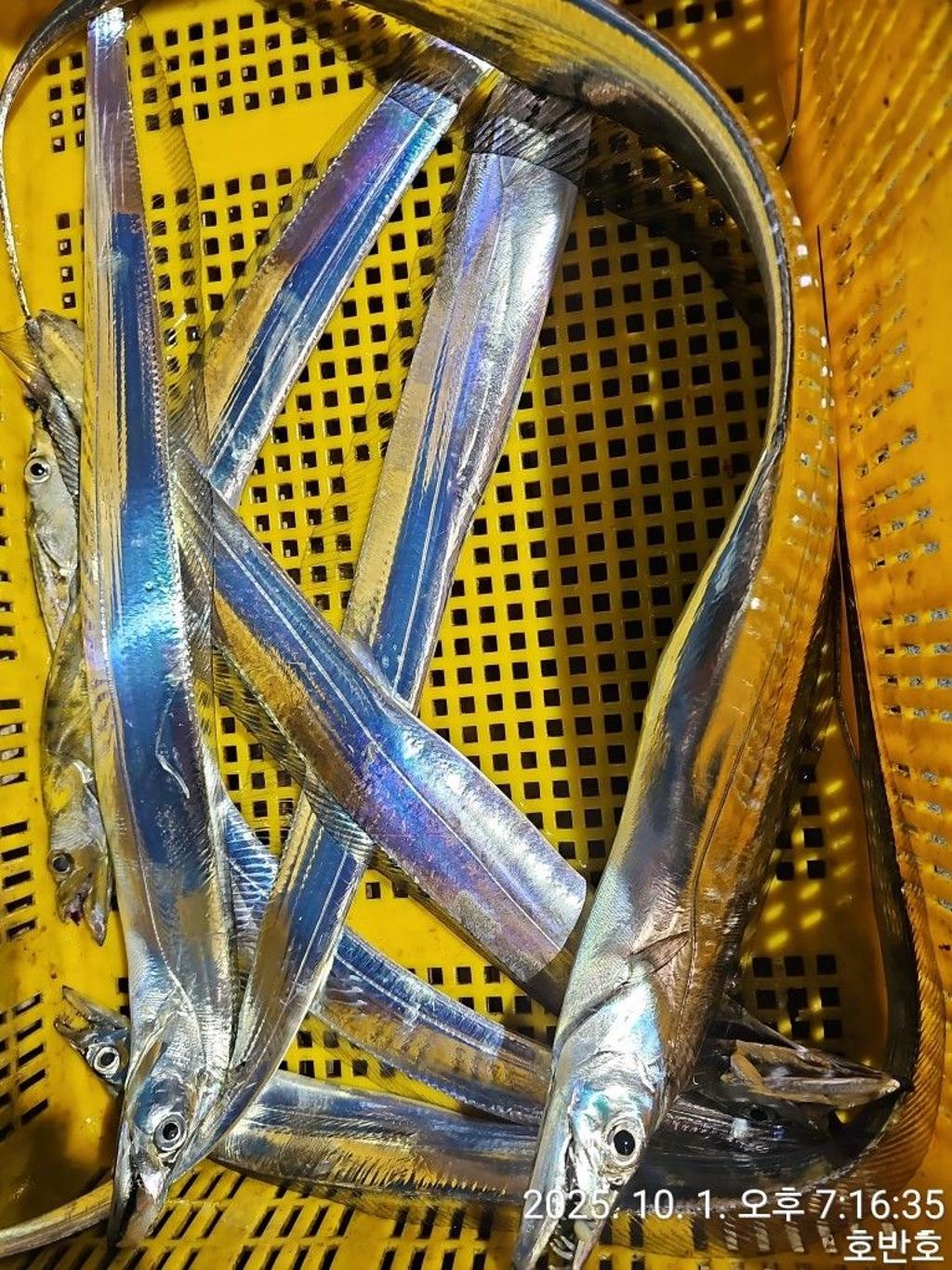 F2789591FL.jpg