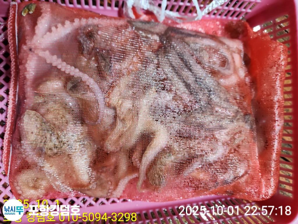 낚시뚜,돌문어,영일만항,포항 킹덤호,낚시뚜36