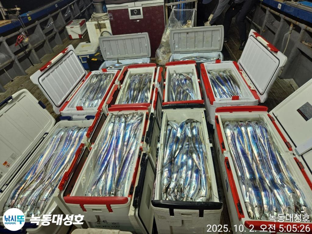 낚시뚜,갈치,녹동항,녹동대성호,낚시뚜3