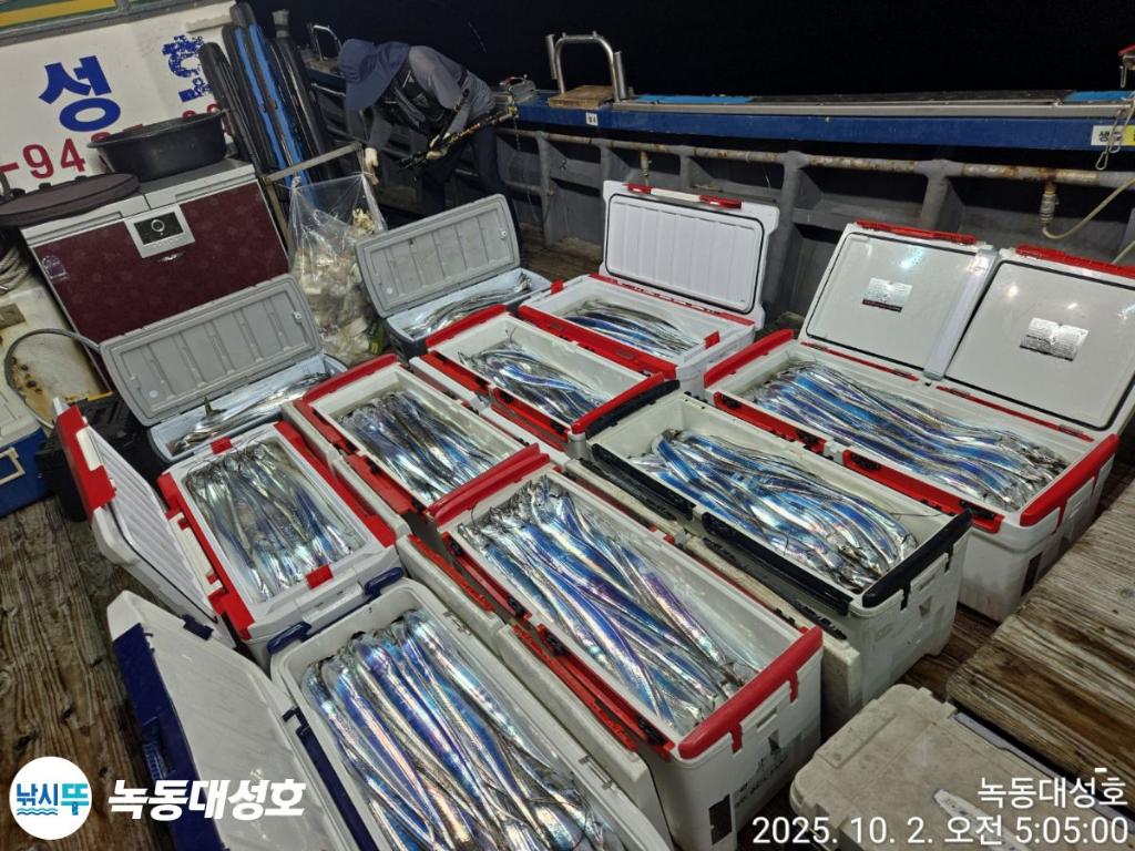 낚시뚜,갈치,녹동항,녹동대성호,낚시뚜1