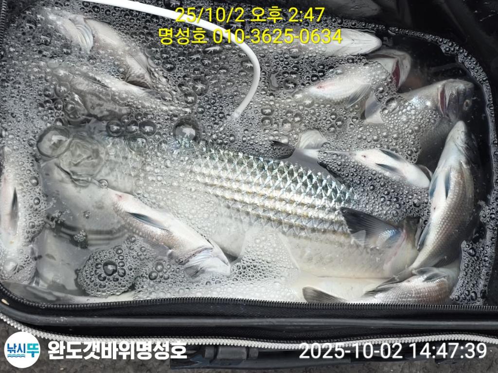 F27899081X.jpg