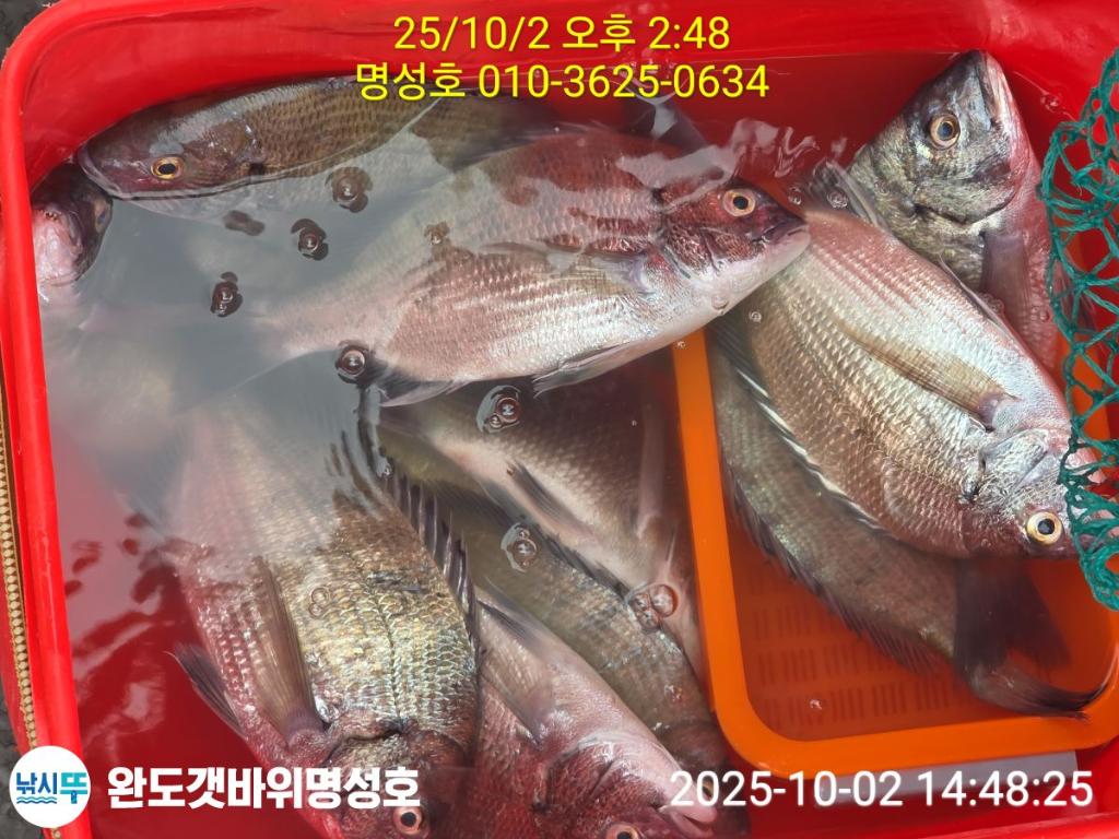 F2789909DU.jpg
