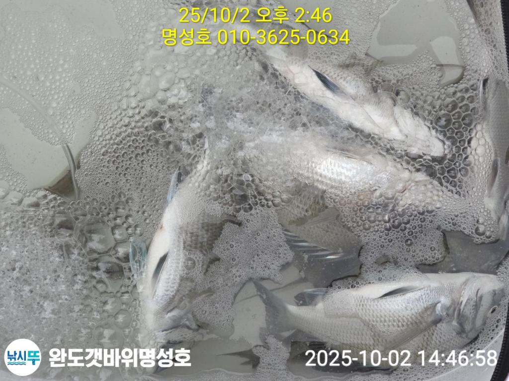 F278991084.jpg