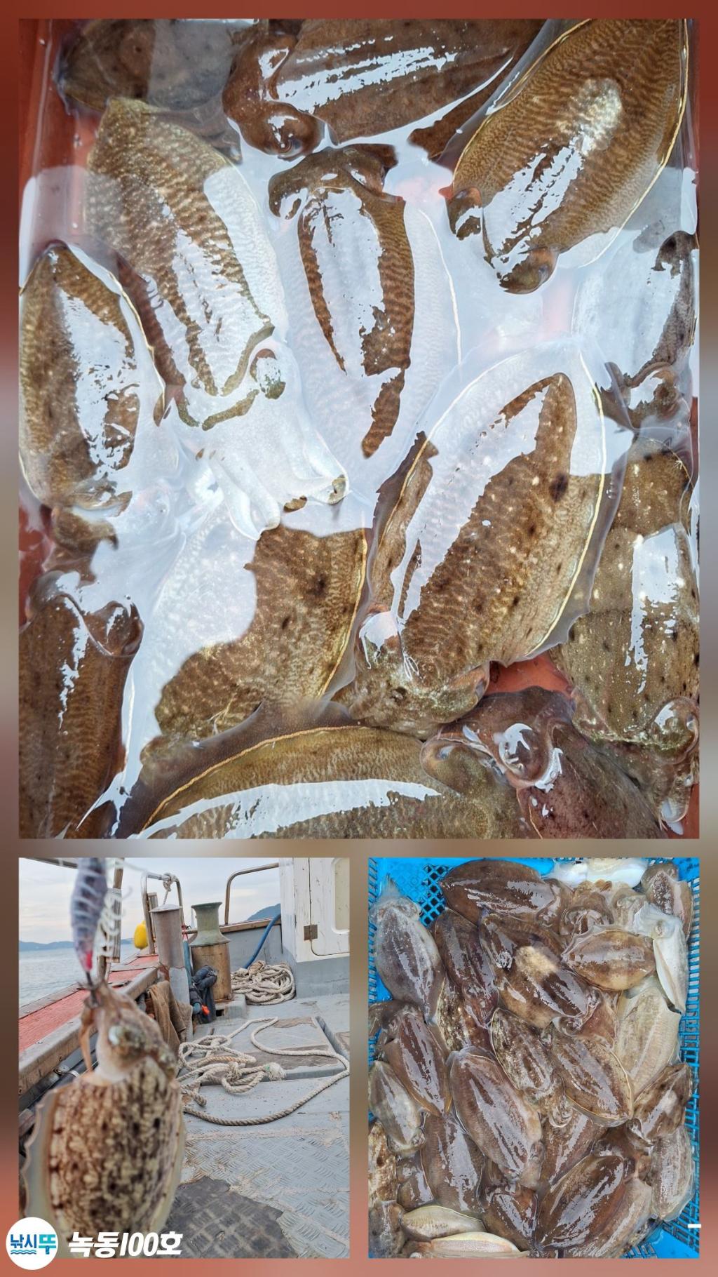 F2789921BG.jpg