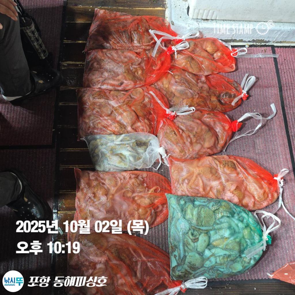 F2790033AT.jpg