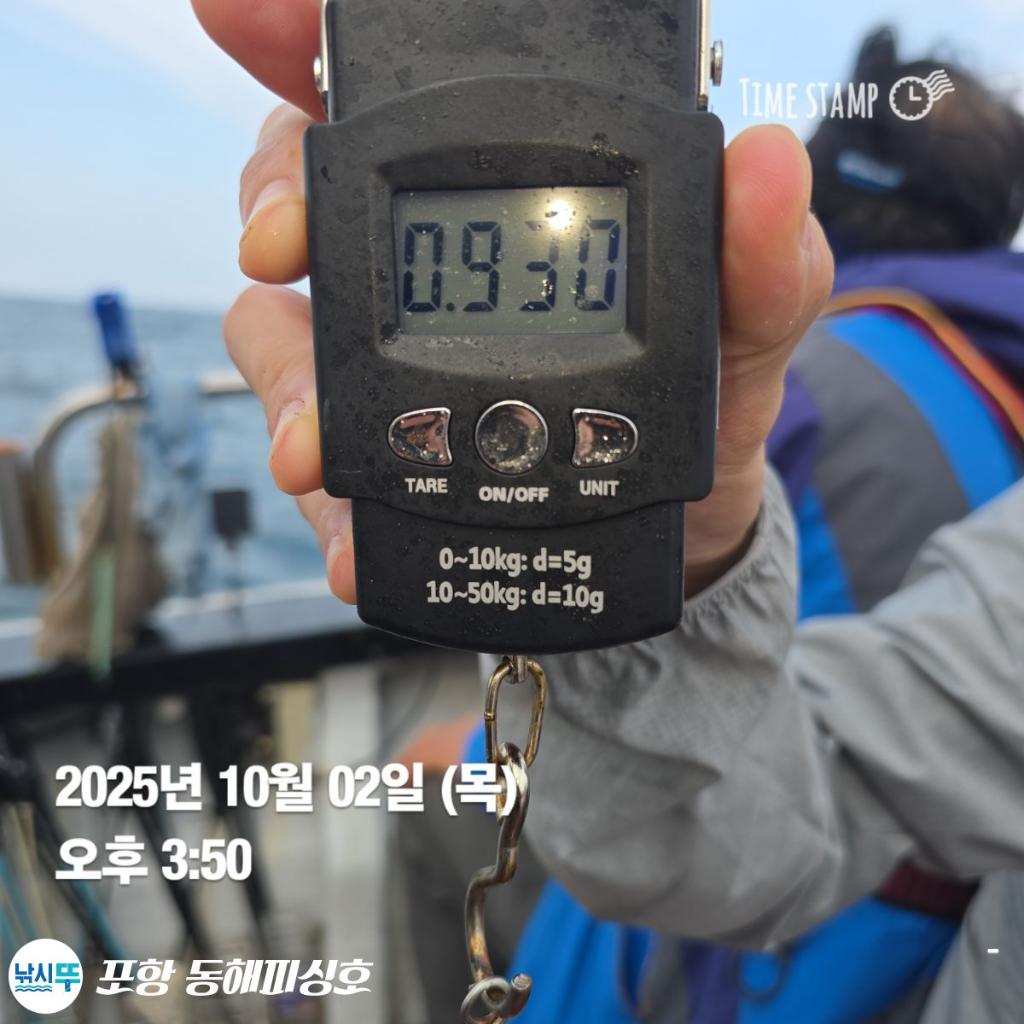 F2790043XS.jpg