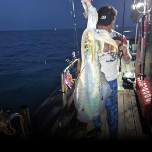 조황, 1일 무늬(팁런)조황! 오늘 정상 출항 모집중 입니다.