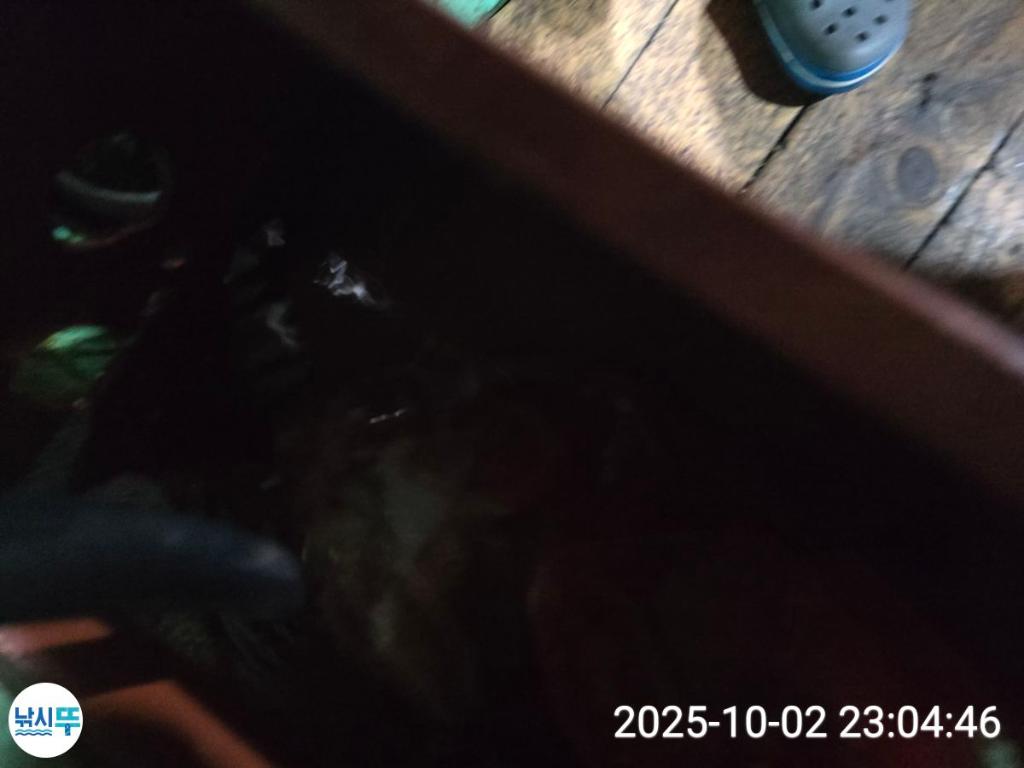 F27901023U.jpg