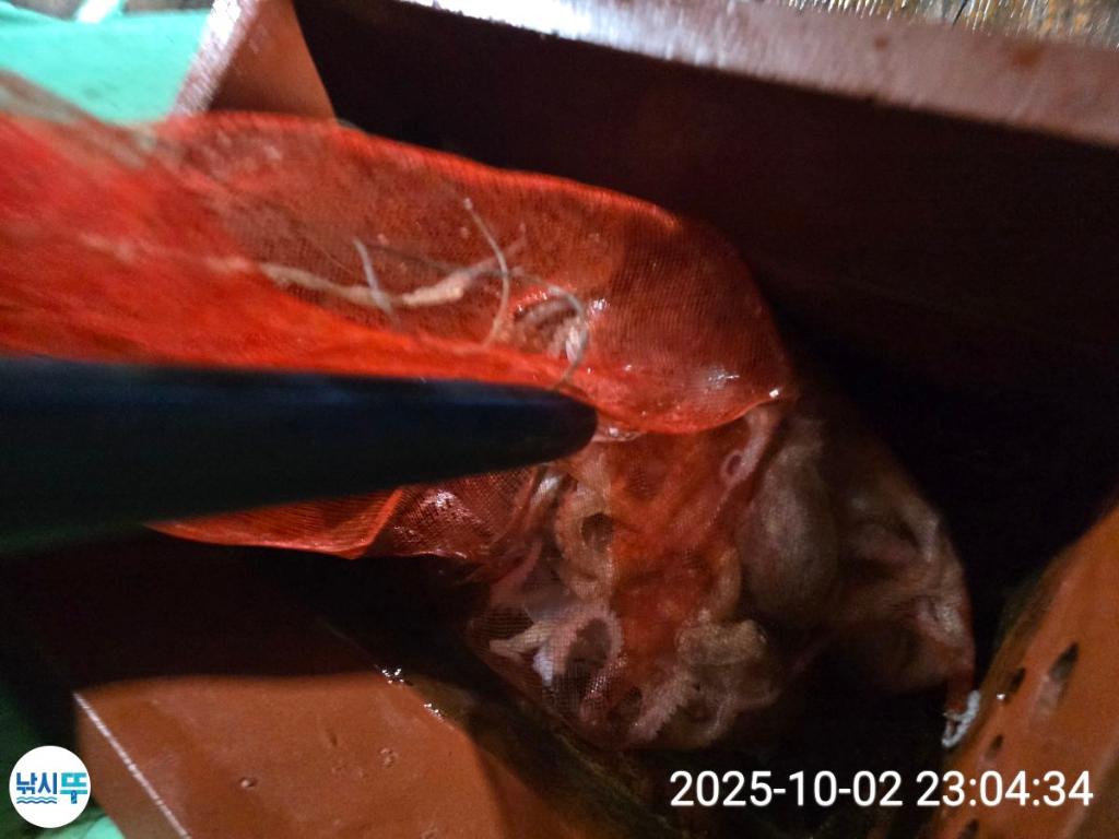 F279010405.jpg