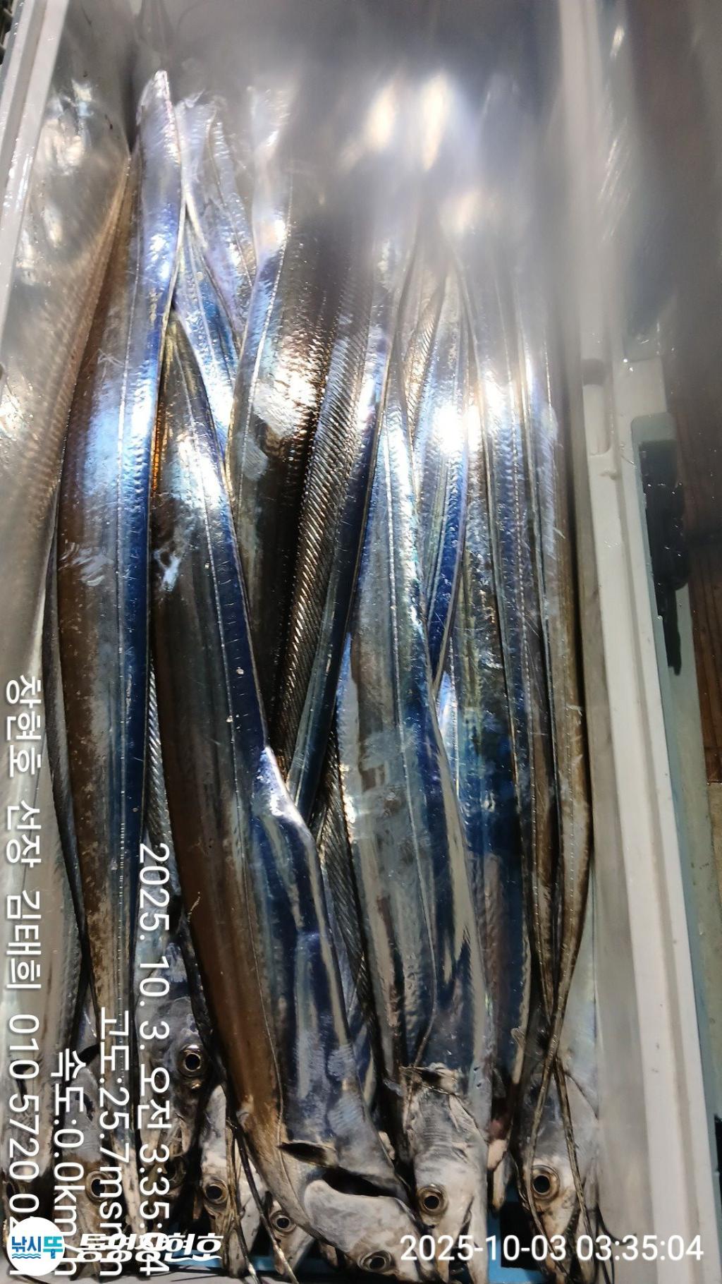 낚시뚜,갈치,통영연명항,통영창현호,낚시뚜9