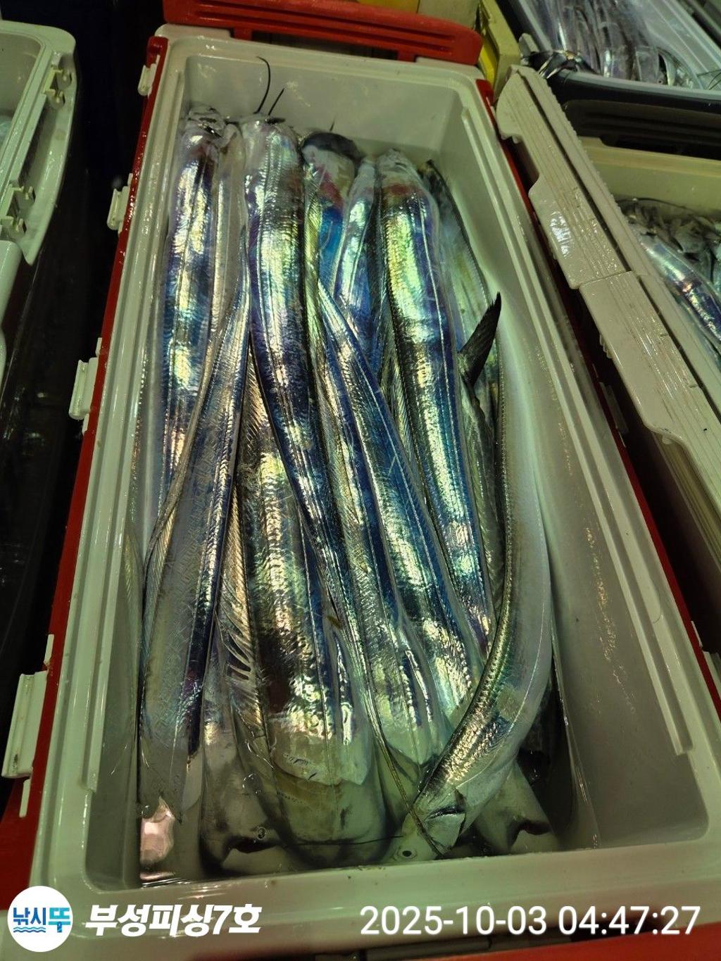 F2790204NX.jpg